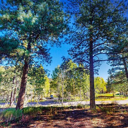 Pinon Pines Villa South Fork Bagian luar foto